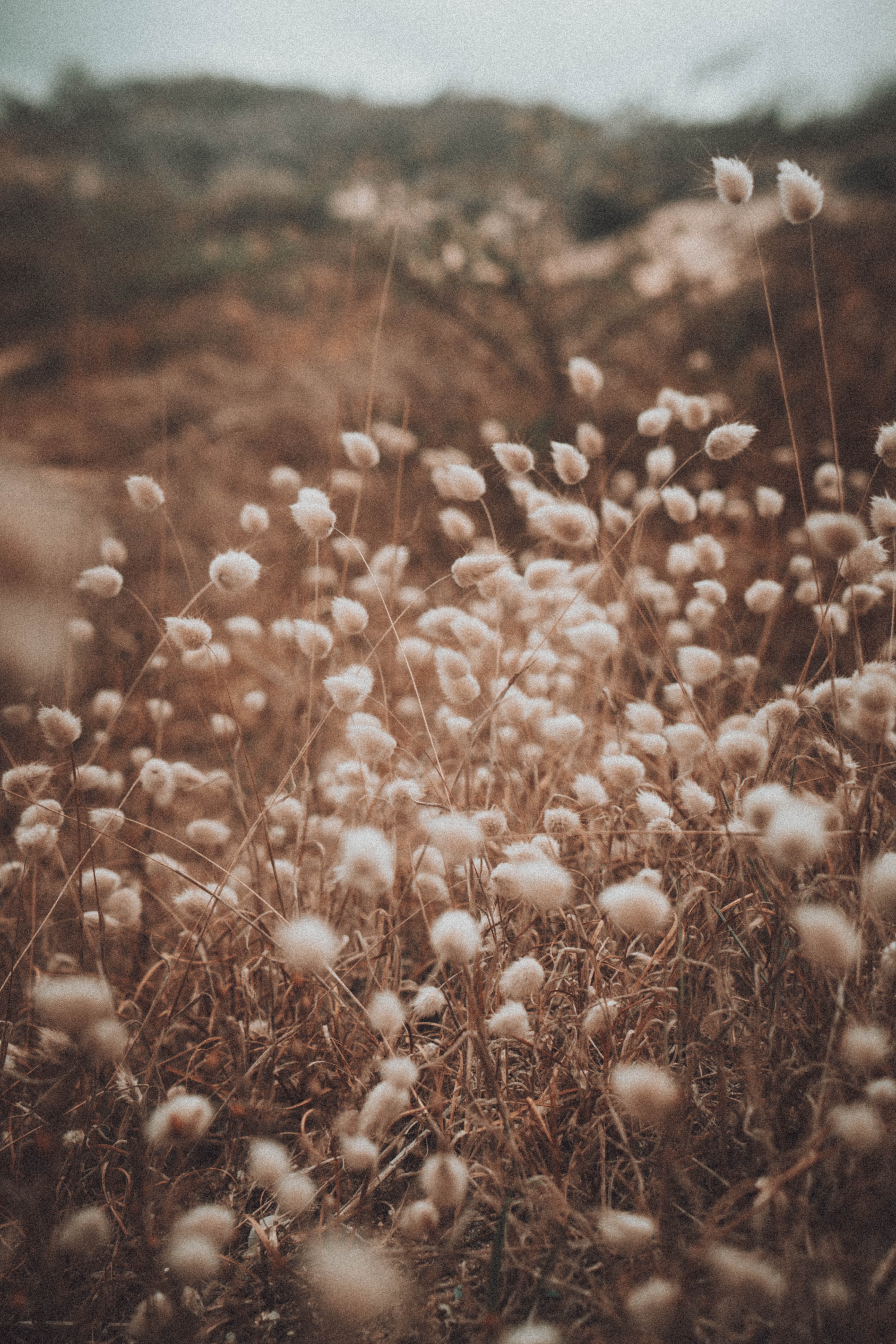 The beauty in Silence