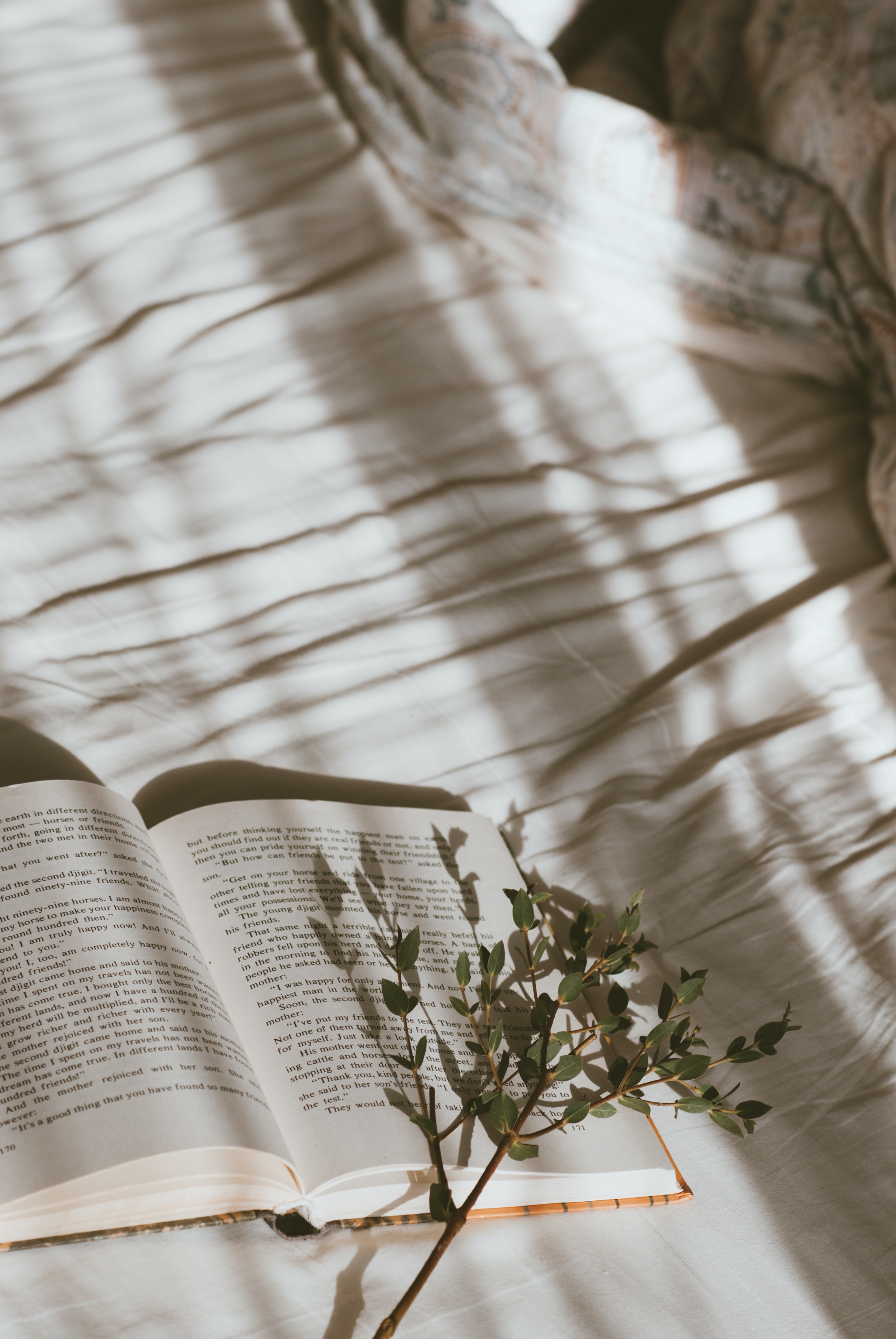 The Girl in Room 105 – Book Review