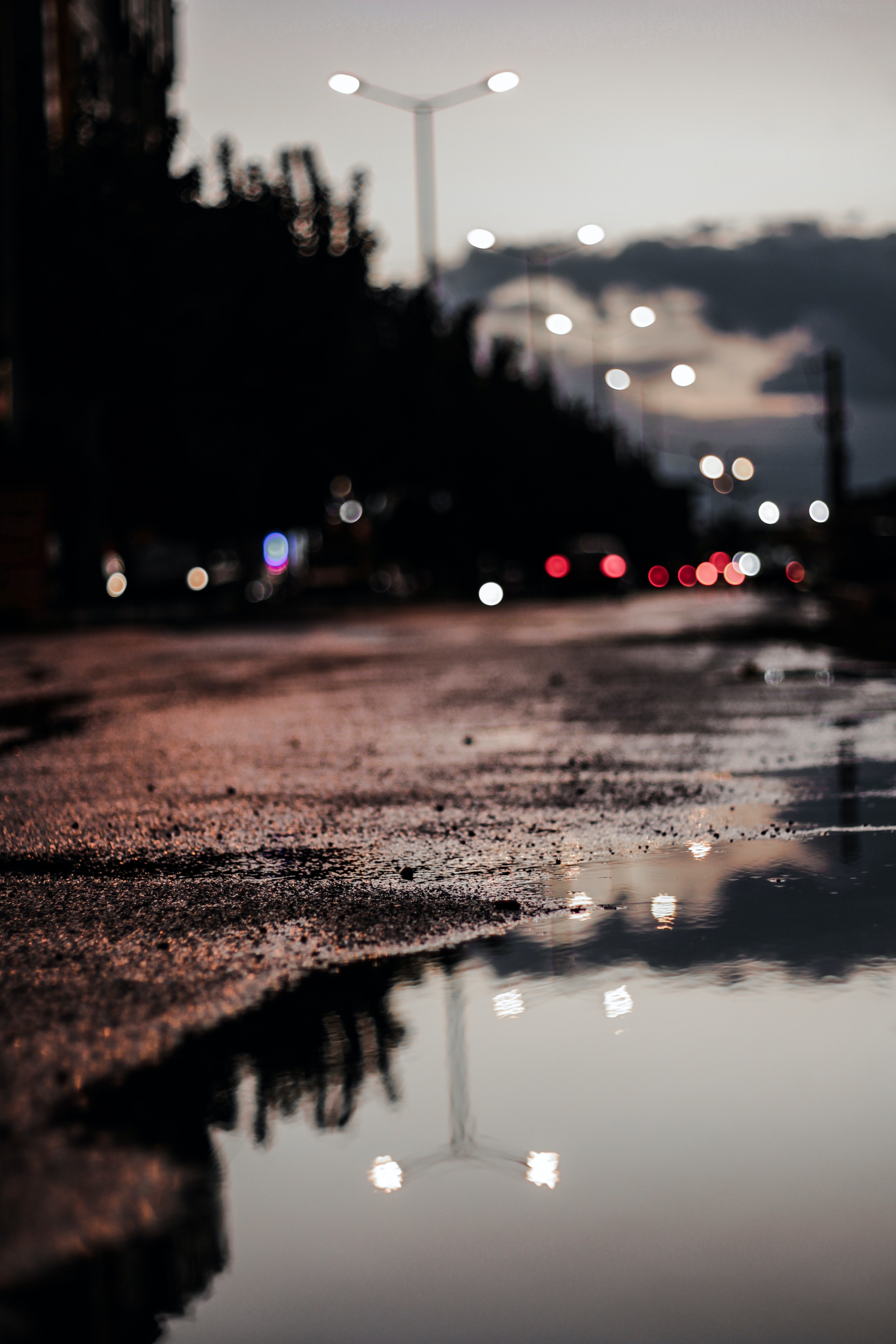 5 Reasons why I love monsoons
